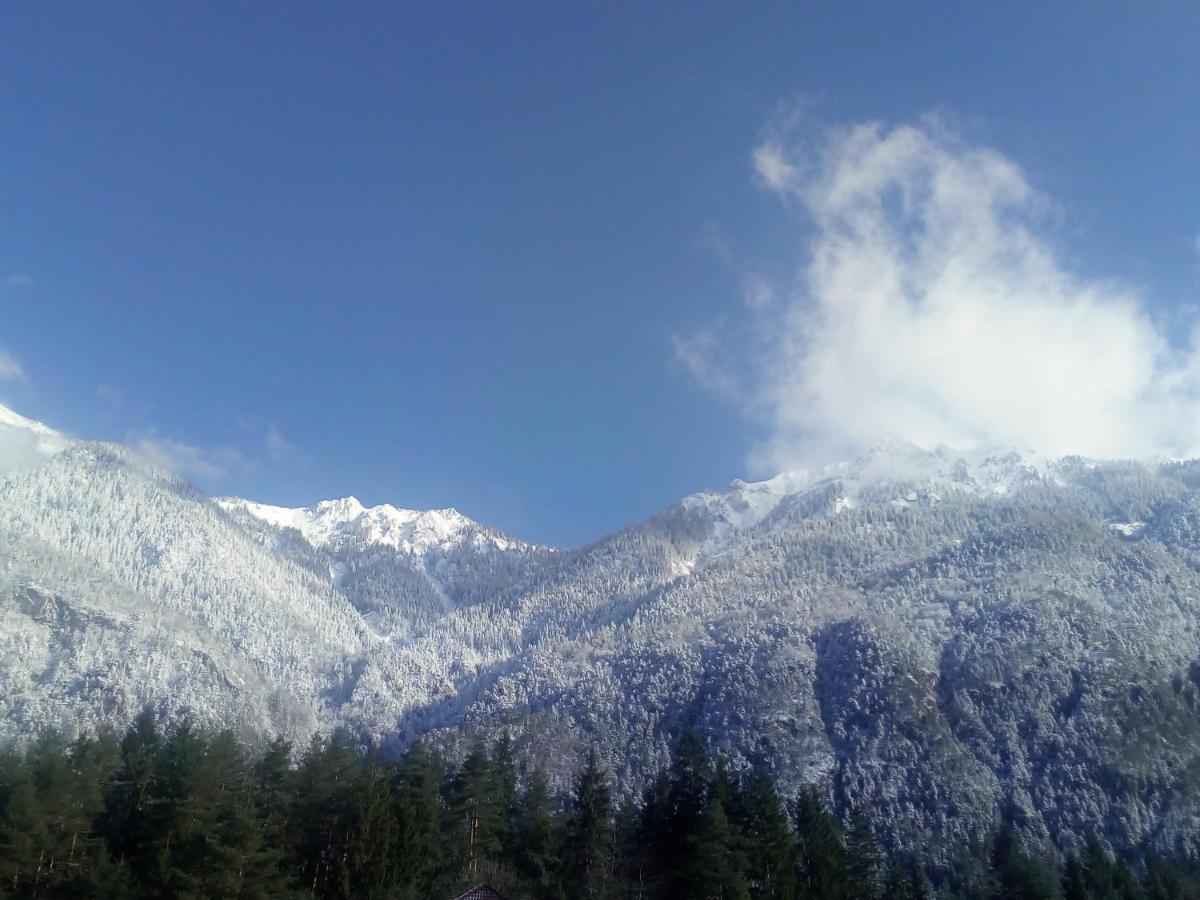 Landhaus Tirol Otel Presseggersee Dış mekan fotoğraf