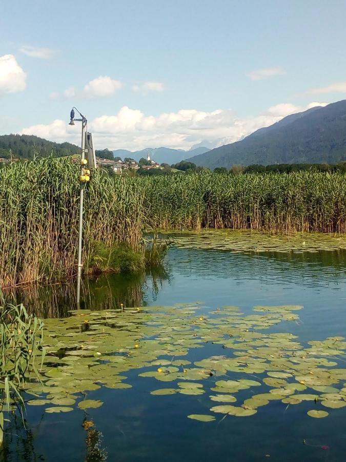 Landhaus Tirol Otel Presseggersee Dış mekan fotoğraf